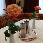 Garni Feichter 3* Schladming