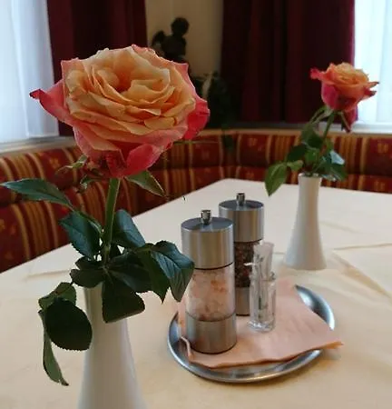 Garni Feichter 3* Шладминг