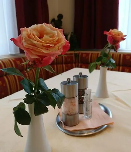 Garni Feichter 3* Schladming